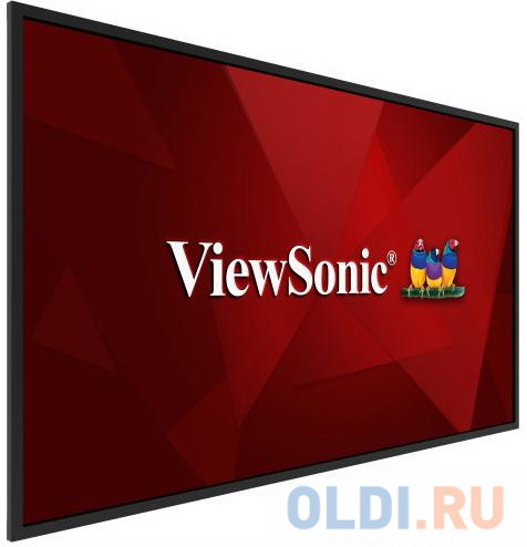 Информационная панель ViewSonic CDE5520 55&quot; LED 4K Ultra HD от OLDI