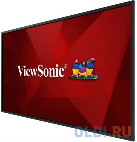 Информационная панель ViewSonic CDE5520 55&quot; LED 4K Ultra HD от OLDI