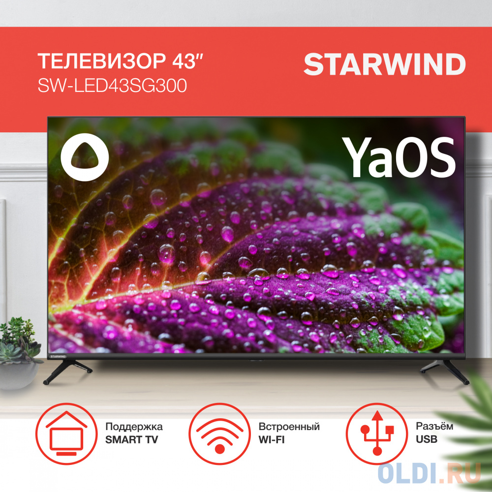 Телевизор LED Starwind 43&quot; SW-LED43SG300 Яндекс.ТВ Frameless черный FULL HD 60Hz DVB-T DVB-T2 DVB-C DVB-S DVB-S2 USB WiFi Smart TV Вид№6