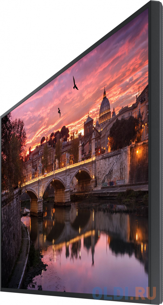 Панель Samsung 65&quot; QB65B черный VA LED 8ms 16:9 DVI HDMI M/M матовая 350cd 178гр/178гр 3840x2160 DP RCA 4K USB 24.9кг Вид№5