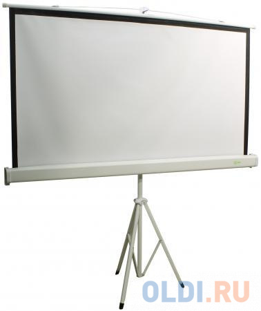 

Экран Cactus Triscreen CS-PST-150x150 1:1 напольный 150x150 рулонный белый