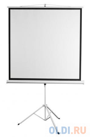 

Экран переносной на штативе Digis Kontur-D DSKD-1106 200 x 200 см