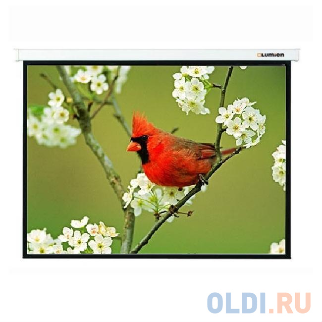 

[LMC-100115] Экран с электроприводом Lumien Master Control 162x280 см (123") Matte White FiberGlass черн. кайма сверху 40 см