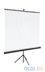 

Экран на штативе Digis DSKC-1103 Kontur-C формат 1:1 (200*200) MW