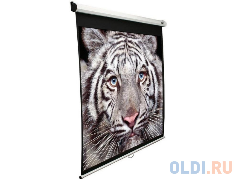 

Экран настенный Elite Screens ELECTRIC110H 16:9 137.2x243.8см