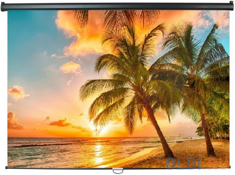 

Экран настенный ScreenMedia Economy-P 150х150см SPM-1101