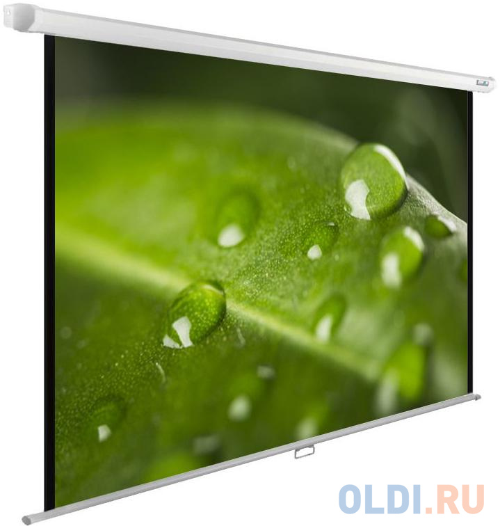 

Экран настенно-потолочный Cactus CS-PSWE-200X150-WT 150 x 200 см