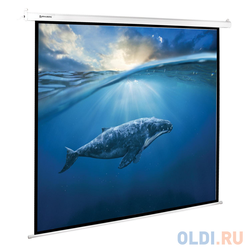 

Экран настенно-потолочный BRAUBERG MOTO 180 x 180 см 236733
