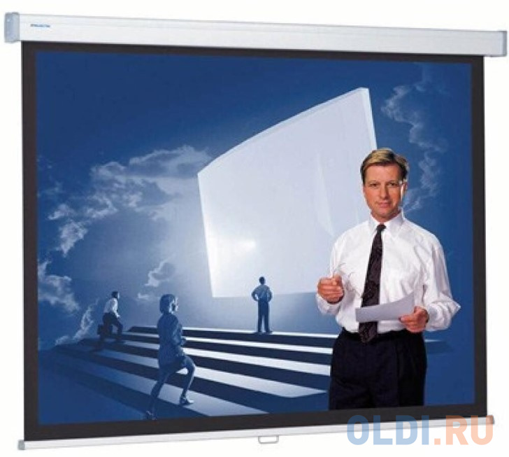 

[10200315] Экран Projecta Proscreen CSR 154x240 см (112") Datalux настенный рулонный 16:10