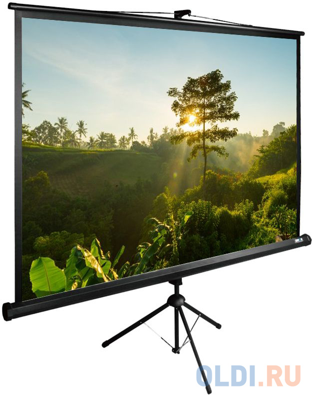 

Экран напольный рулонный Cactus CS-PSTE-200x200-BK 200 x 200 см