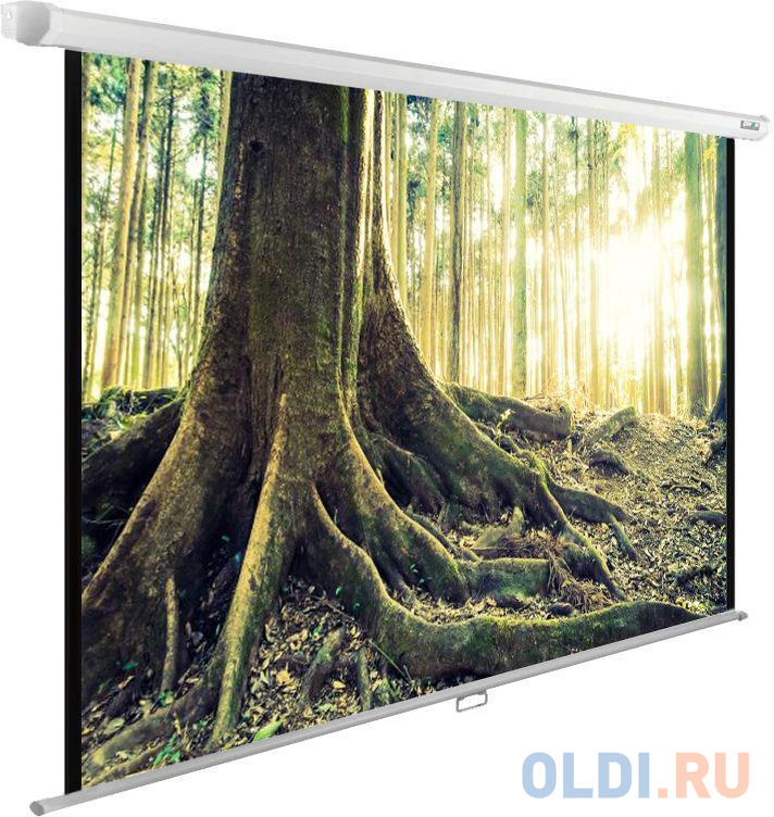 

Экран Cactus 220x220см WallExpert CS-PSWE-220x220-WT 1:1 настенно-потолочный рулонный