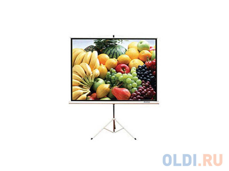 

Экран переносной на штативе ScreenMedia SAM-4304 244 x 183 см
