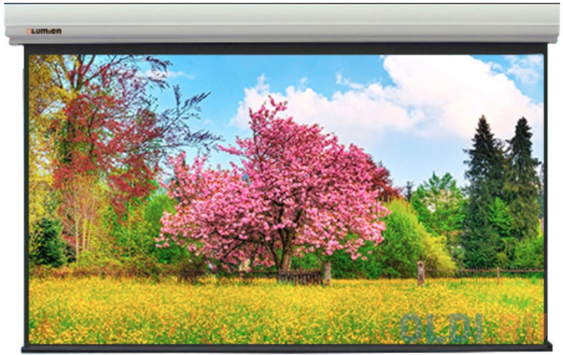 

[LMLC-100101A] Экран с электроприводом Lumien Master Large Control 399x519 см (раб. область 381х501 см) (250") Matte White FiberGlass, черн. кайма по периметру, алюминиевый корпус, 4:3, IR и RF управление входит в комплект