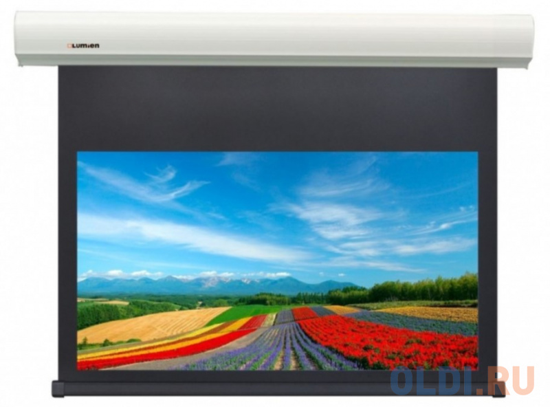 

Экран настенный Lumien Cinema Control LCC-100116 219x362 см