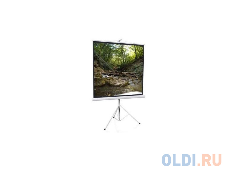 

Экран на штативе ScreenMedia Apollo-T 180х180см STM-1102