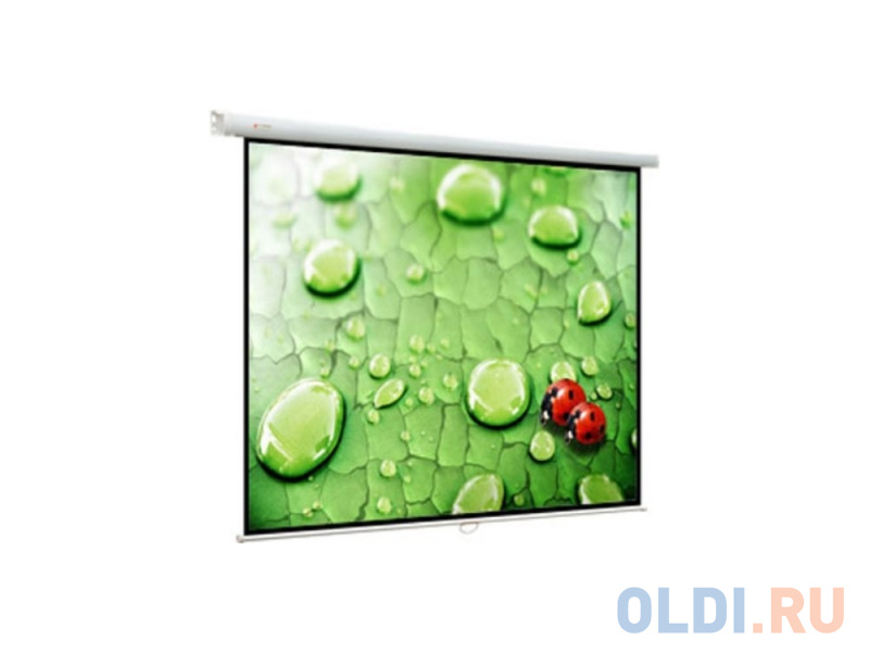 

Экран настенный Viewscreen Lotus WLO-1103 1:1 180х180см MW ручной
