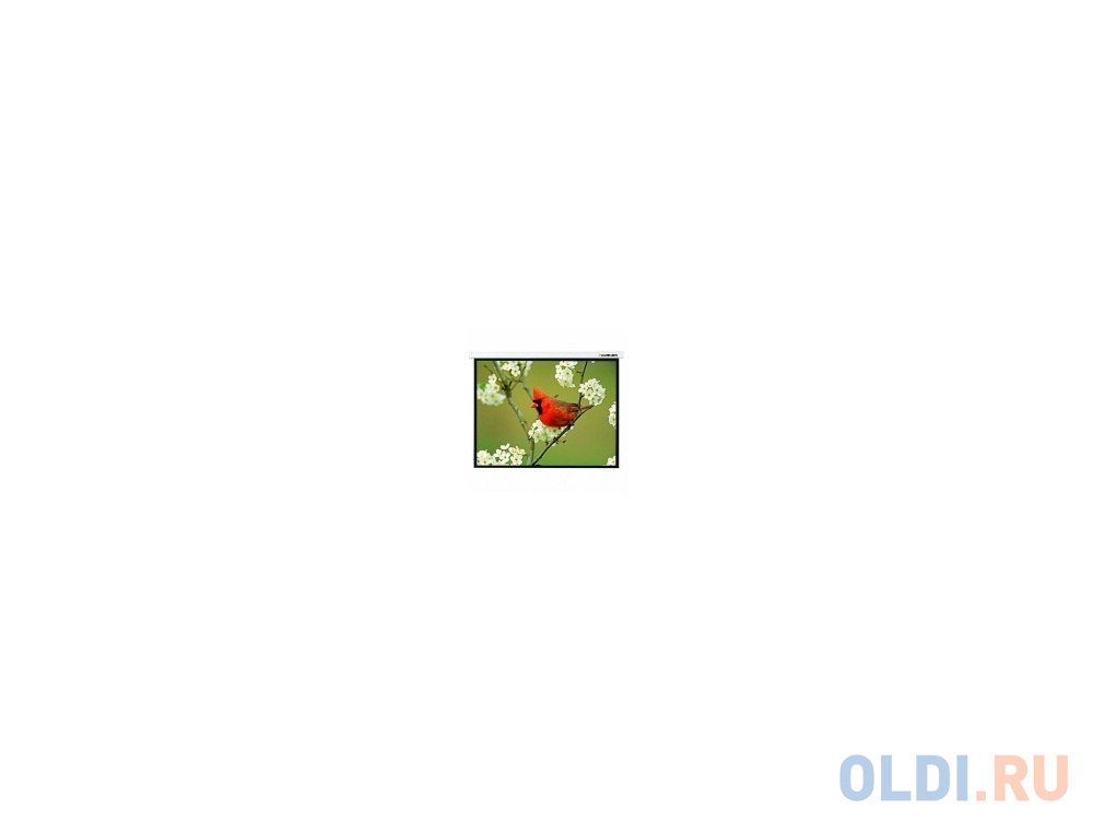 Экран настенный Lumien Master Picture 173x200см Matte White LMP-100121
