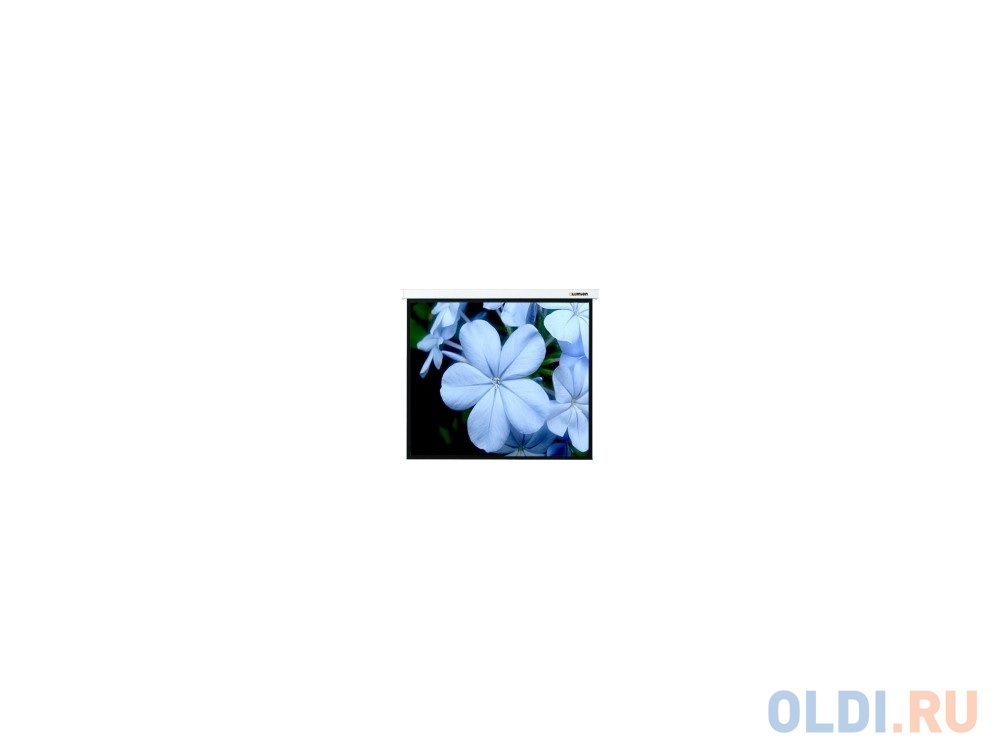 Экран настенный Lumien Master Picture 173x200см Matte White LMP-100121 фото