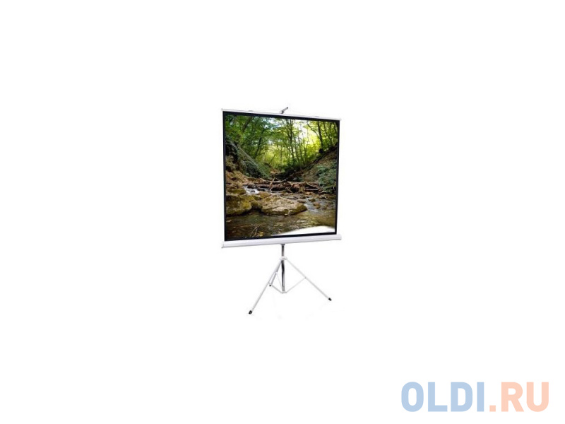 

Экран на штативе ScreenMedia Apollo-T 200x200см SТM-1103