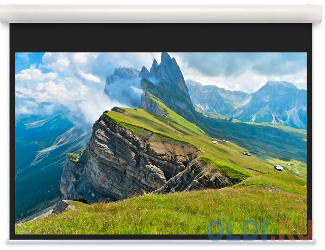 

[10102096] Экран Projecta Elpro Concept 139x240 см (104") Matte White с эл/приводом, доп.черная кайма 53 см 16:9
