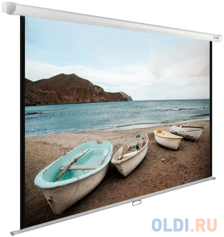 

Экран настенно-потолочный Cactus CS-PSWE-220X138-WT —