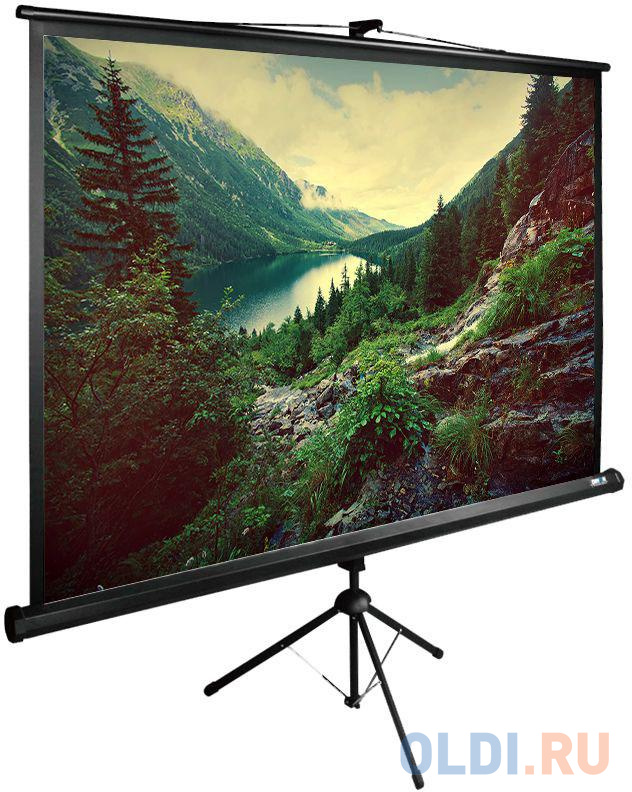 

Экран напольный рулонный Cactus TriExpert CS-PSTE-220х220-BK 220 x 220 см