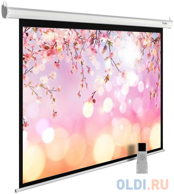 

Экран Cactus 220x220см MotoExpert CS-PSME-220x220-WT 1:1 настенно-потолочный рулонный белый (моторизованный привод)
