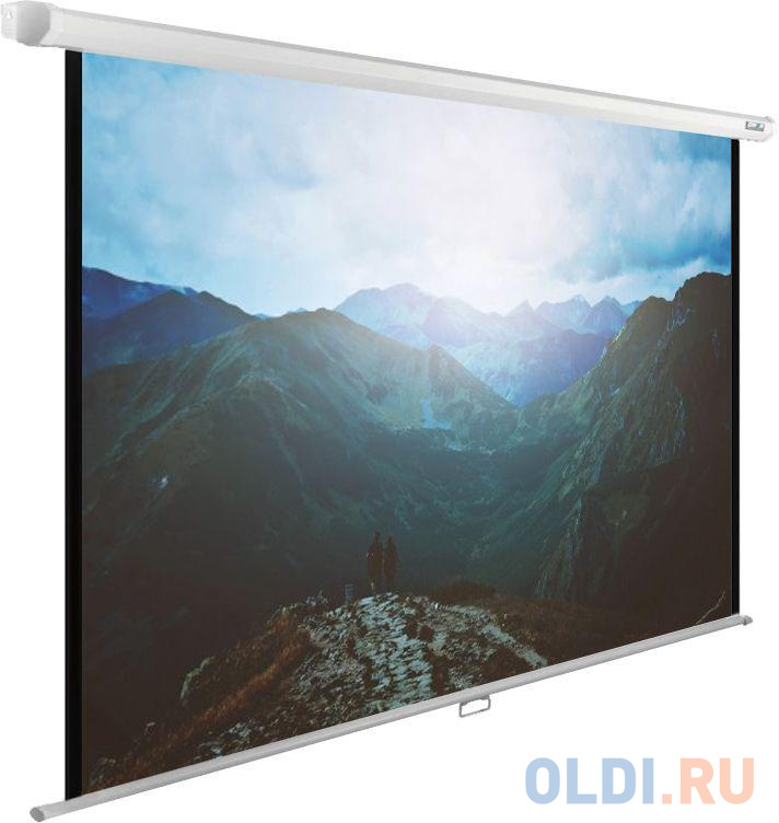 

Экран Cactus 240x240см WallExpert CS-PSWE-240x240-WT 1:1 настенно-потолочный рулонный