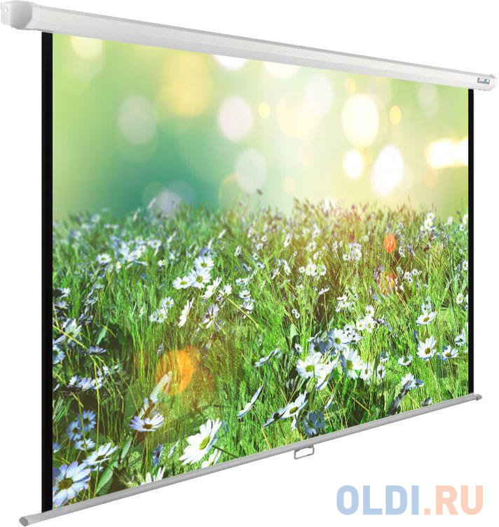 

Экран Cactus 200x200см WallExpert CS-PSWE-200x200-WT 1:1 настенно-потолочный рулонный