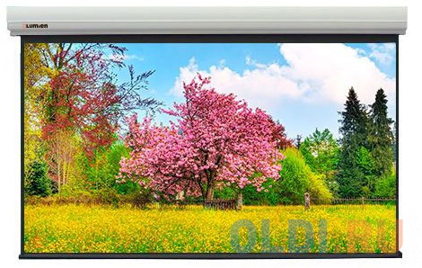 

[LMLC-100108] Экран с электроприводом Lumien Master Large Control 388x602 см (раб. область 370x592 см) (275") Matte White FiberGlass черн. кайма по периметру, стальной корпус 16:10, IR и RF управление входит в комплект