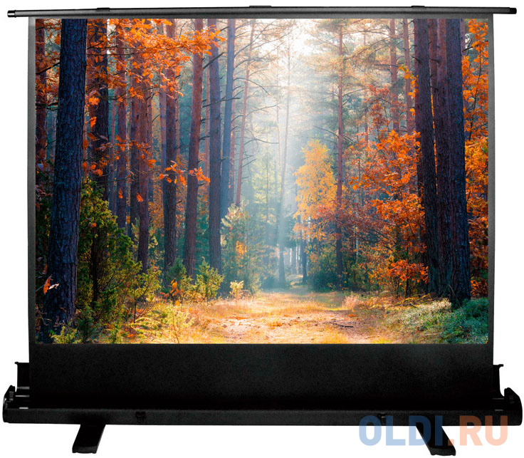 

Экран Cactus 135x180см FloorExpert CS-PSFLE-180X135 4:3 напольный рулонный