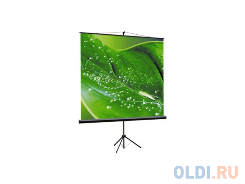 

Экран на штативе Viewscreen Clamp TCL-1101 1:1 150х150см MW