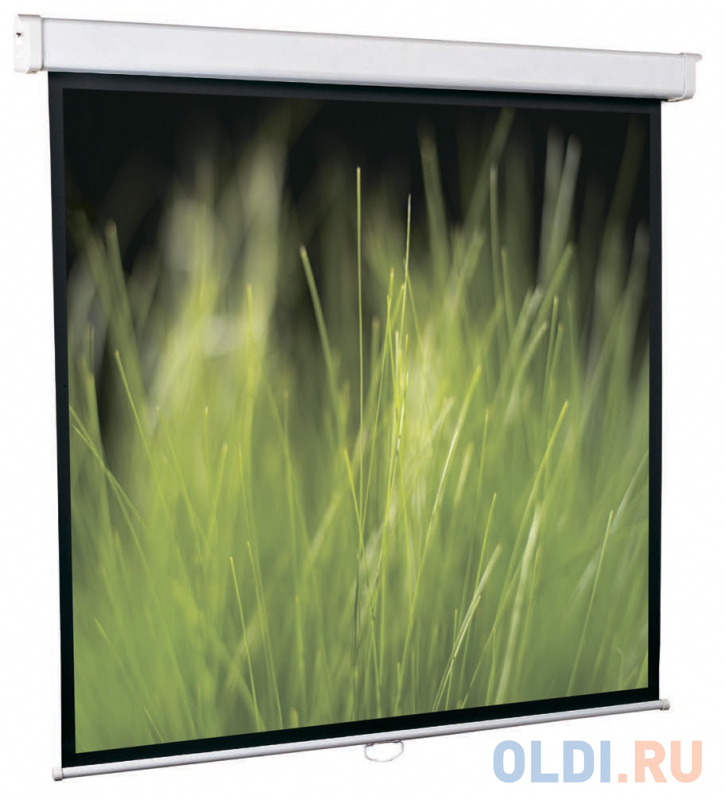 

Экран настенный ScreenMedia Goldview 244х183см SGM-4304