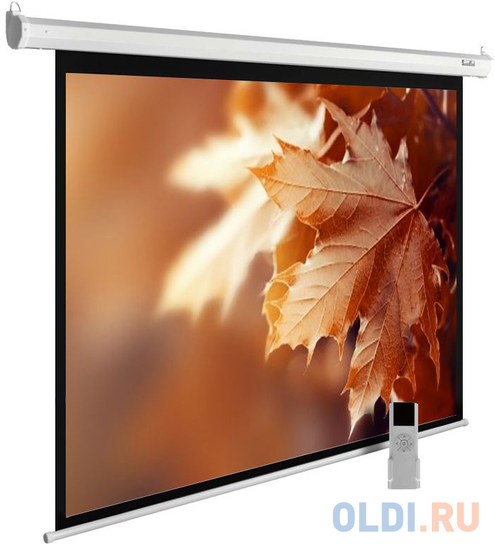 

Экран настенно-потолочный Cactus CS-PSME-300X188-WT —