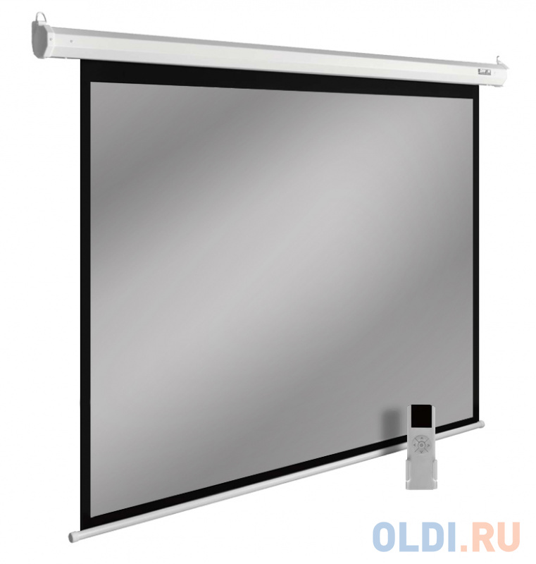 

Экран настенно-потолочный Cactus SIlverMotoExpert CS-PSSME-240X150-WT 150 х 240 см