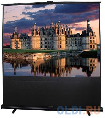 

Экран переносной на штативе Lumien Master Portable 163x137см 163x137 см