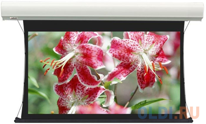 

[LCTC-100115] Экран с электроприводом Lumien Cinema Tensioned Control 155x235 см (раб.область 120х213 см 16:9) (96") High Contrast Sound черн. кайма по периметру, доп.черная область 30 см, триггер., RS232, IR, RF управл. в комплекте, цвет корпуса белый
