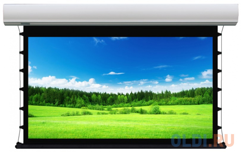 

LCTC-100142] Экран с электроприводом Lumien Cinema Tensioned Control 219x374 см (раб.область 198х352 см 16:9) (159") Matte White Sound черн. кайма по периметру, доп.черная область 15 см, триггер., RS232, IR, RF управл. в комплекте, цвет корпуса белый