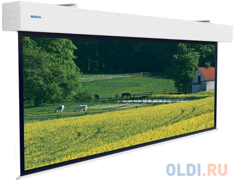 

[10100337] Экран Projecta Elpro Large Electrol 285х450см Matte White (с чёрн. каймой) с эл/приводом