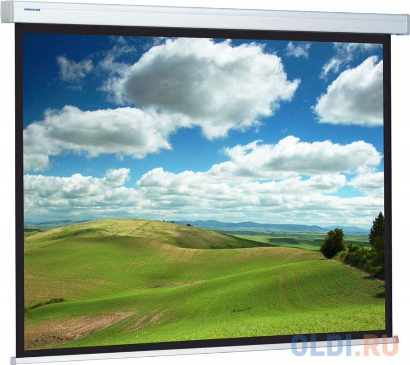 

[10101981] Экран Projecta Compact Electrol 168х220 см (103") Matte White с эл/приводом 4:3