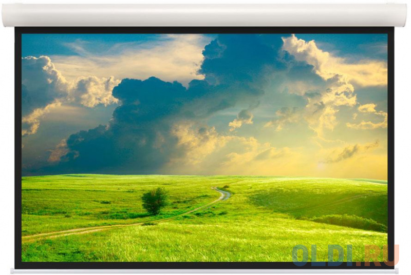 

[10101579] Экран Projecta Elpro Concept 207x360 см (163") Matte White (с чёрн.каймой) с эл/приводом 16:9