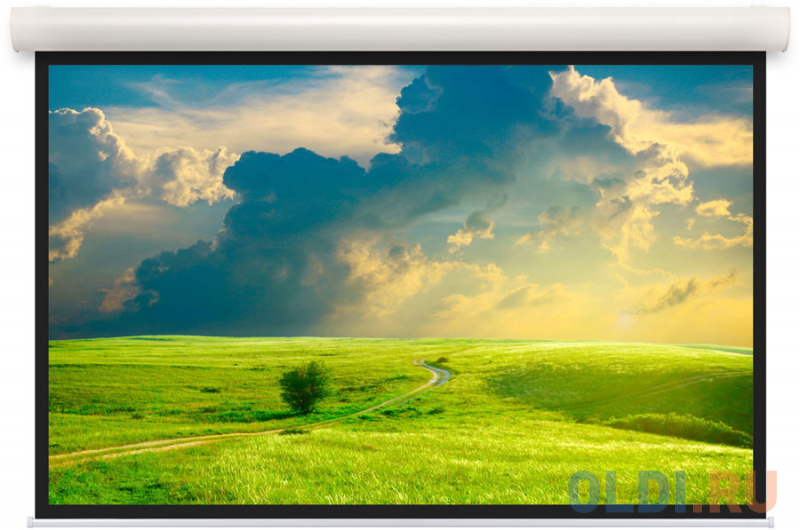

[10103539] Экран Projecta Elpro Concept 154x240 см (107") Matte White (с черн.каймой) с эл/приводом 16:10