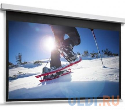 

Экран встраиваемый Projecta DescenderPro 141х220см 141 x 220