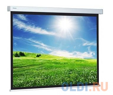 

10200090] Экран Projecta ProScreen 162х280см (119") Matte White настенный рулонный 16:9