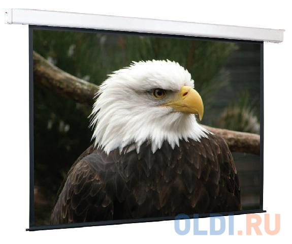 

Экран моторизированный ScreenMedia Champion 305х305см SCM-1108
