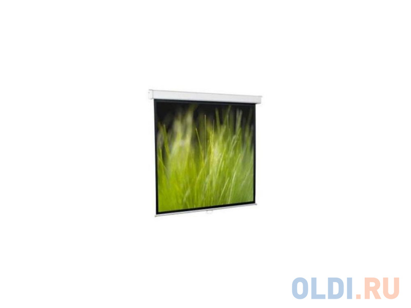 

Экран настенный ScreenMedia Goldview 244х244см SGM-1106