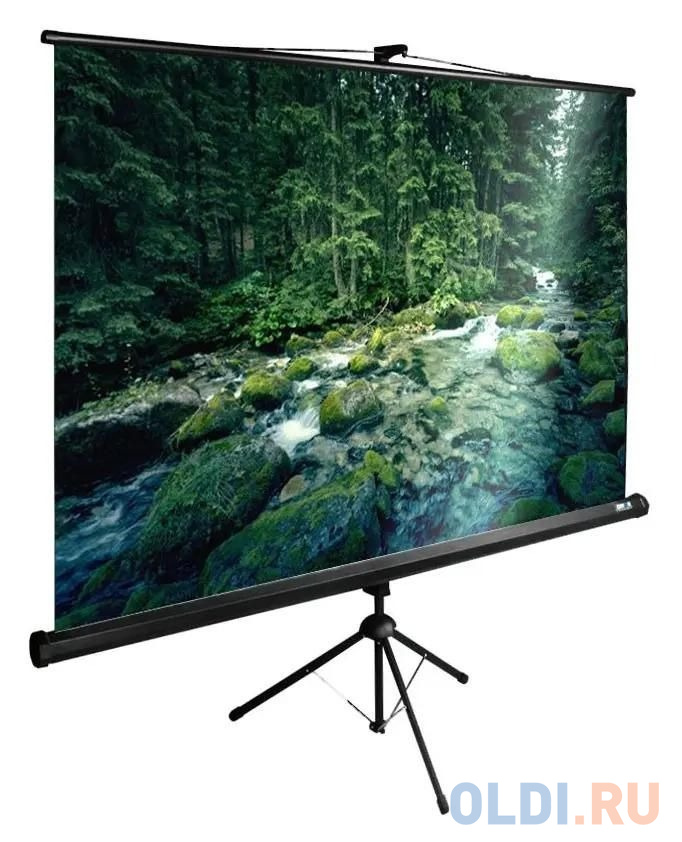 

Экран Cactus TriExpert CS-PSTE-220x165-BK 165x220 см 4:3 напольный рулонный