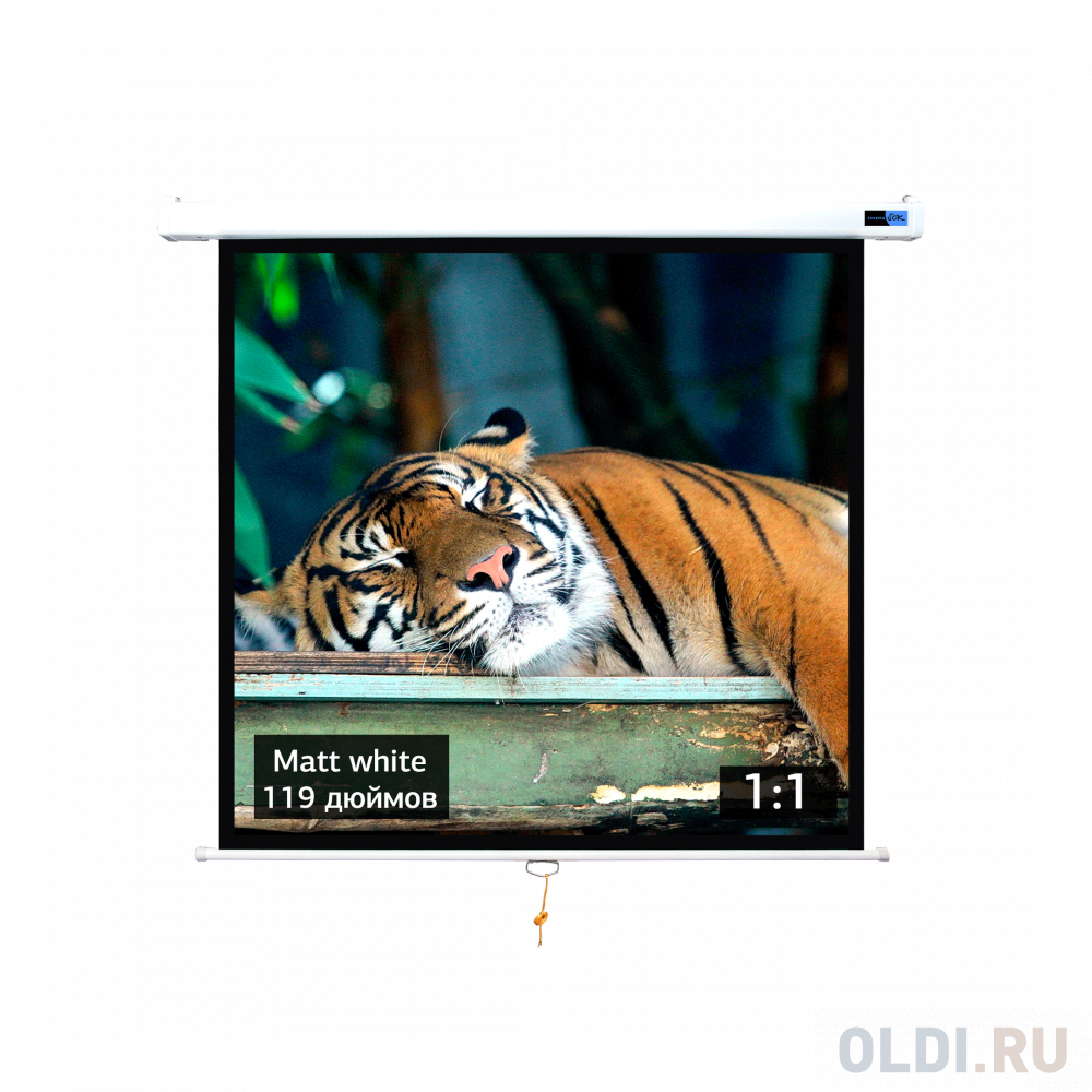 

Экран для проектора S'OK SCPSW-213x213 119'' 1:1 настенно-потолочный, ручной, матовый, белый