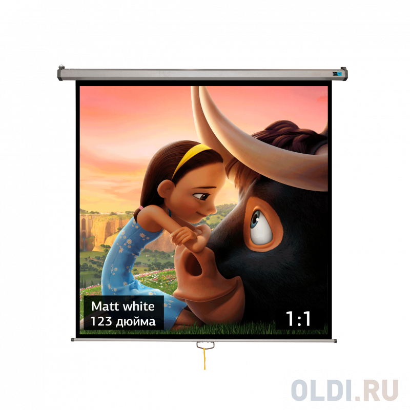 

Экран для проектора S'OK SCPSW-220x220GR 123'' 1:1 настенно-потолочный, ручной, матовый, белый