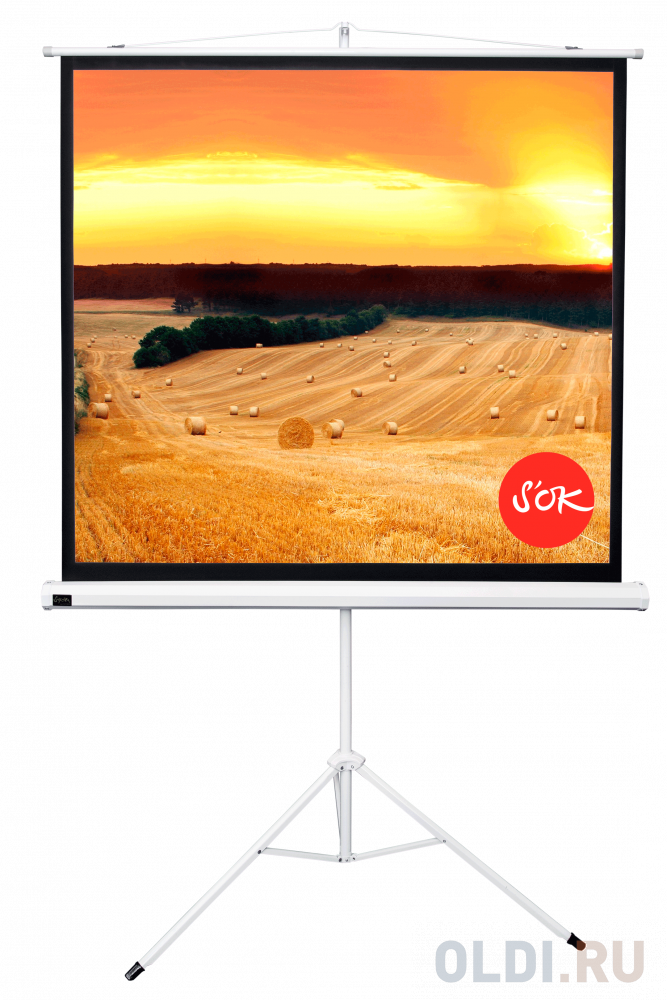 

Экран для проектора S'OK SCPST-158x158 88'' 1:1 напольный, на треноге, матовый, белый